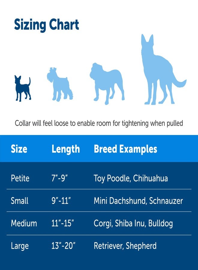 بيت سيف طوق مارتينجال قابل للتعديل من بيت سيف - يُحسّن سلوك الكلب أثناء المشي بالزمام - يمنع الهروب - تدريب لطيف على السلوك - مصنوع من النايلون المتين - بديل لطوق الخنق - صغير الحجم 3/8 بوصة - أزرق ملكي - Image 4